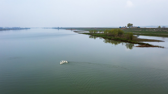 航拍春天河流风景