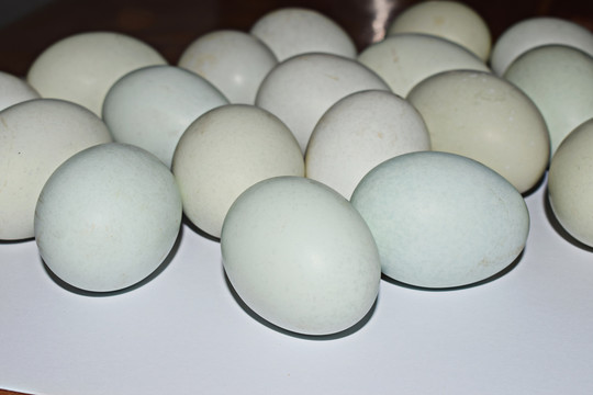 一堆鸡蛋