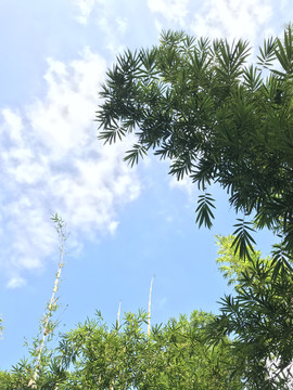 天空