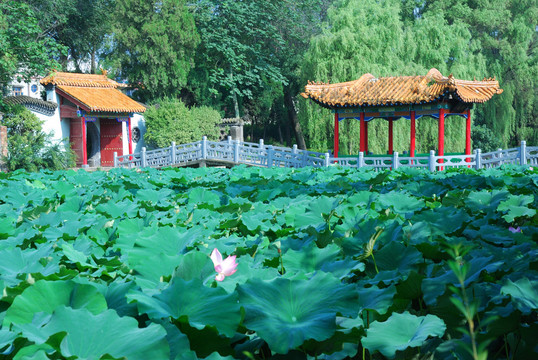 凤翔旅游