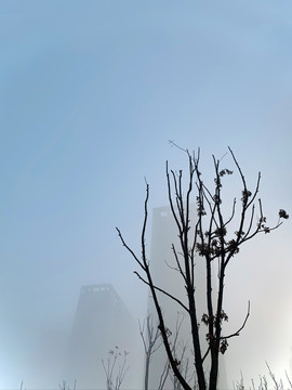 雾中的高楼