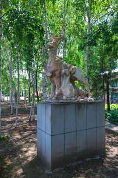 汪清河畔公园