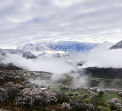 林芝风光