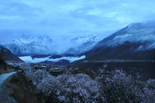 林芝风光