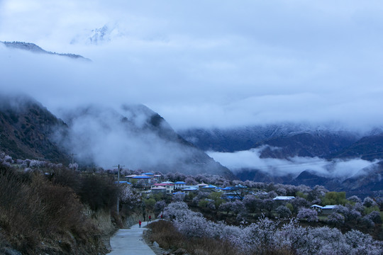 林芝风光