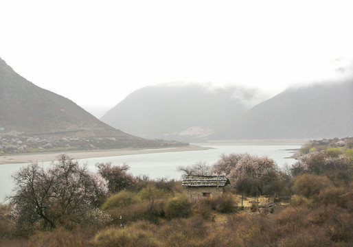 林芝风光