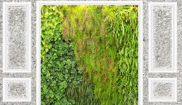 绿植土墙背景墙