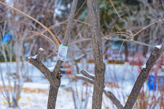 降雪过后的城市公园