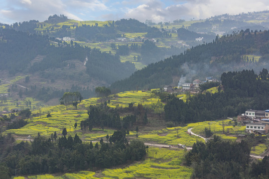 宜宾屏山中都高山油菜花