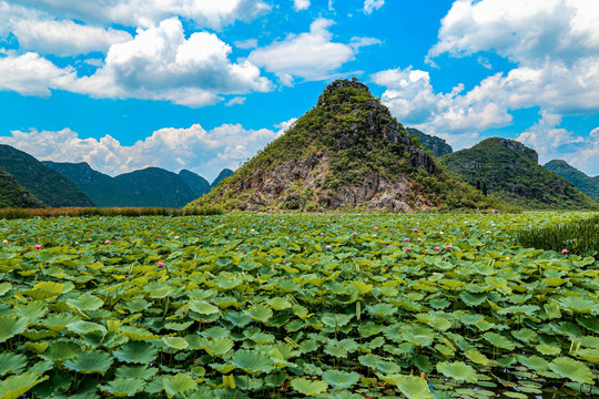 阳朔风光