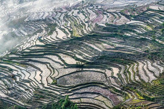 撒马坝梯田