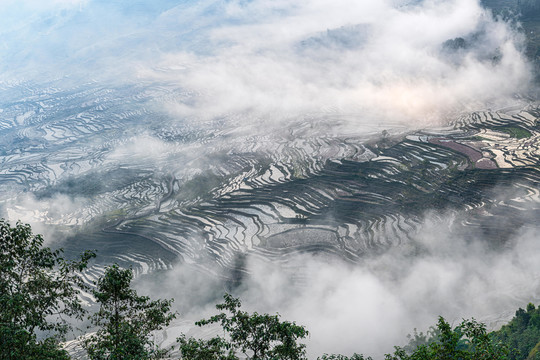 撒马坝梯田