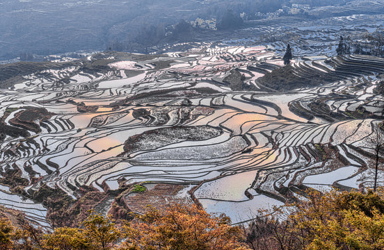 元阳多依树梯田