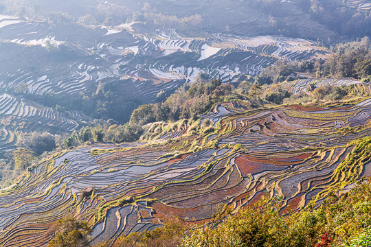 元阳坝达梯田