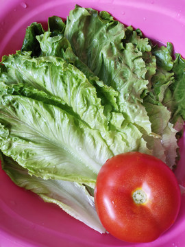 新鲜蔬菜生菜西红柿手机拍摄