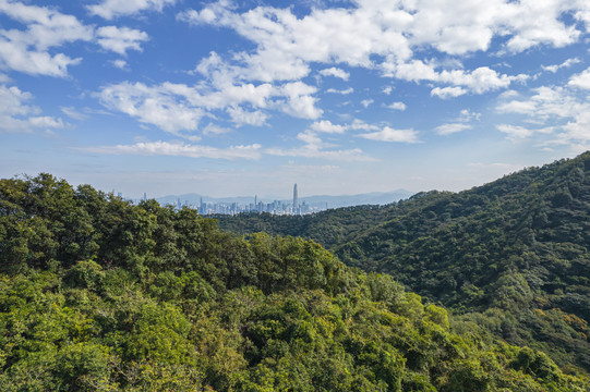 深圳全景