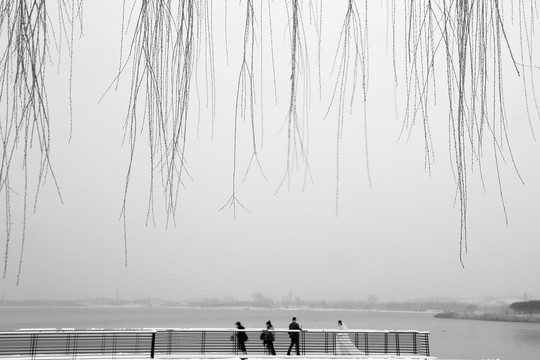 雪景