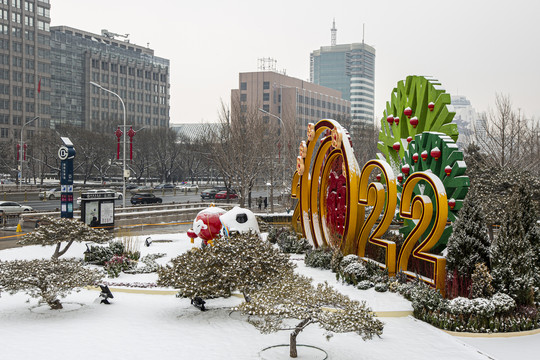 北京冬奥花坛