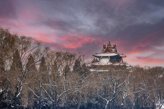 角楼雪景