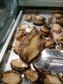 鲍鱼