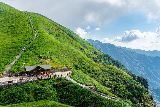 江西武功山树青草绿景醉人