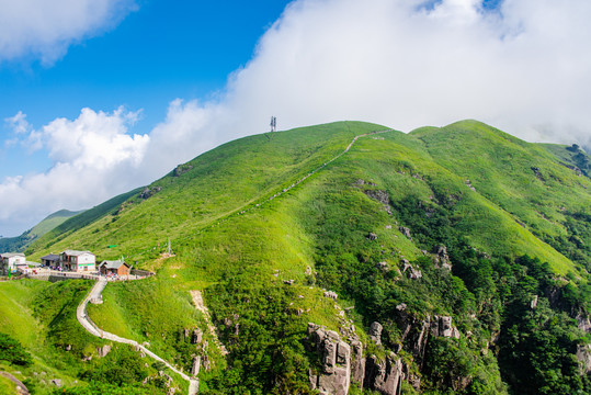 江西武功山树青草绿景醉人