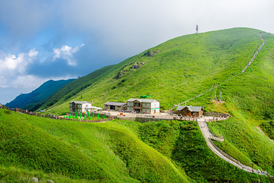 江西武功山树青草绿景醉人