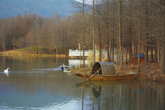 湖畔木船