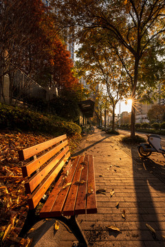 秋天落叶缤纷夕阳下的公园椅子
