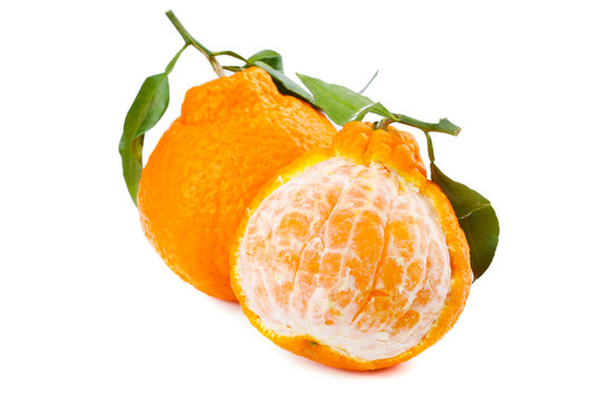 四川丑橘