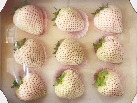 白草莓淡雪公主