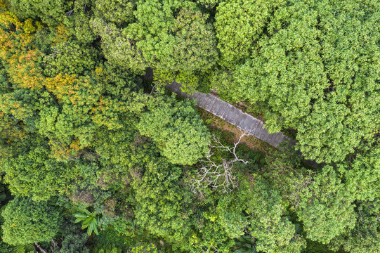 深圳塘朗山公园