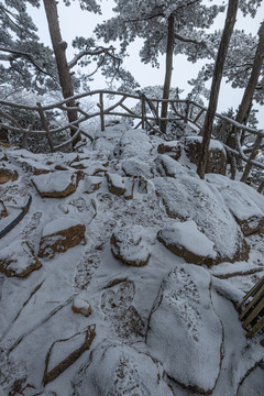 黄山雪景