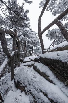 黄山雪景