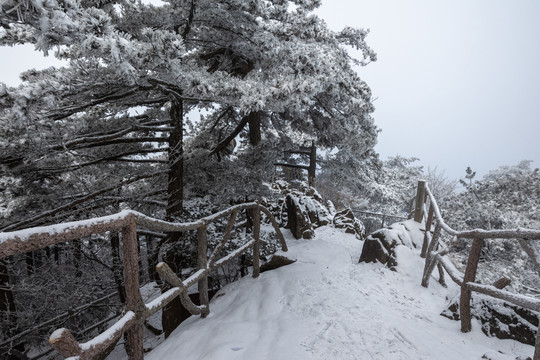 雪景