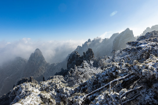 雪景