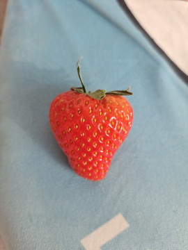 绒布上的草莓