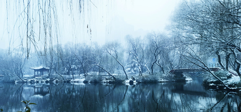 雪景