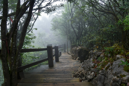 南川金佛山步行栈道