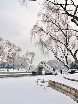 雪景