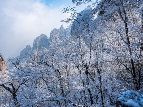 黄山雪景