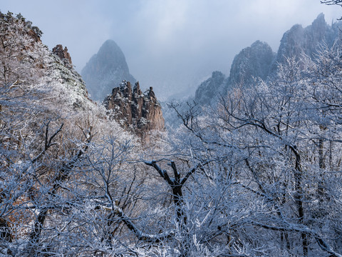 黄山雪景