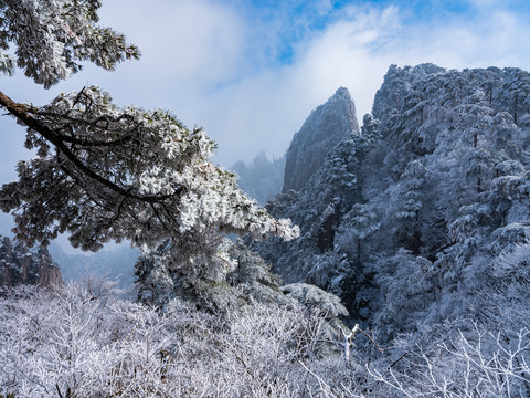 黄山雪景