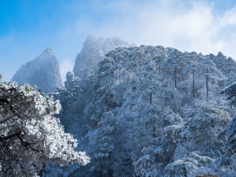 黄山雪景