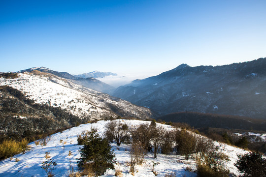 神农架雪景