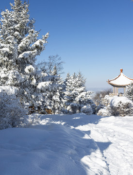 北方雪景