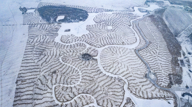湿地雪中画