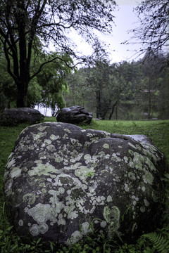 长苔藓的石头