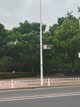马路