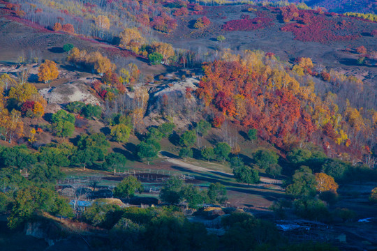 草原秋景